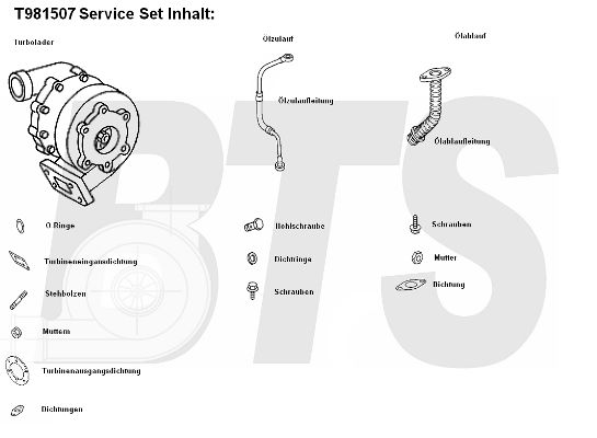 BTS TURBO Компрессор, наддув T981507